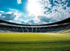 霍芬海姆主,场虎啸,能否击败勒,欧博,欧博官网,欧博ABG官网